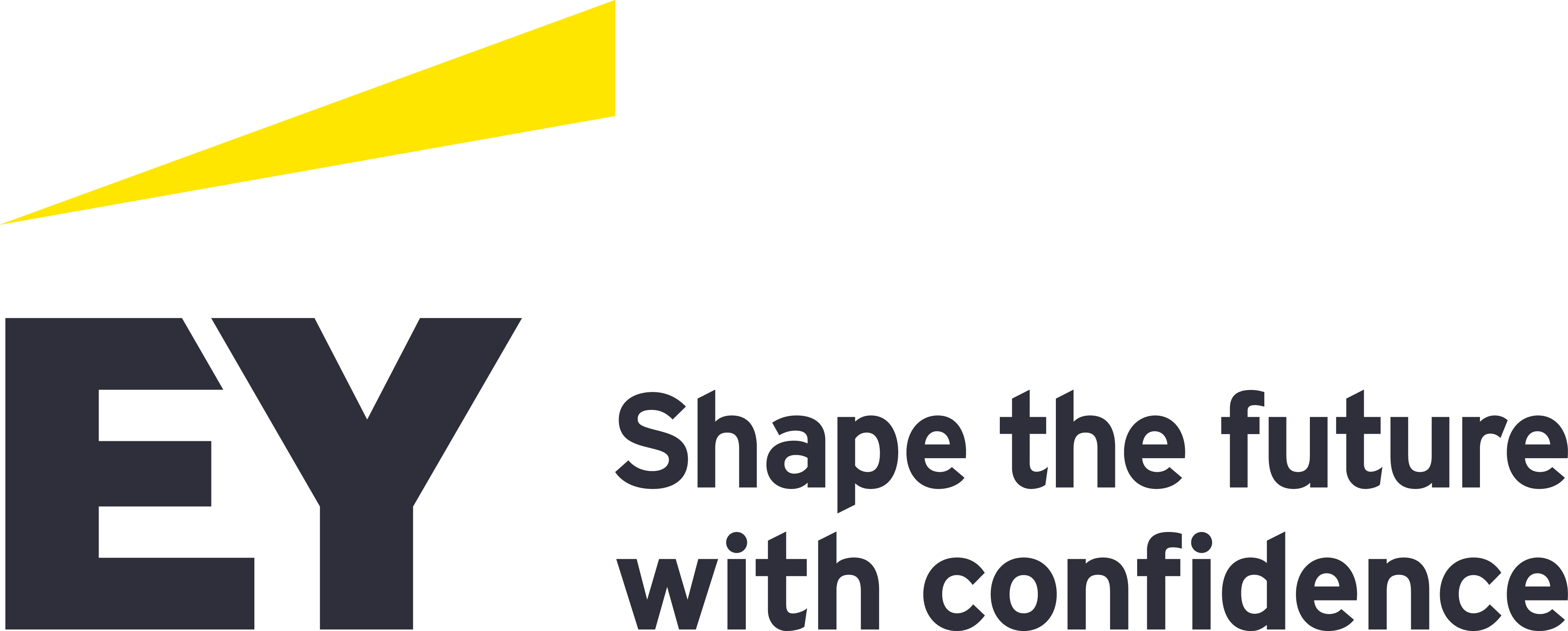 Ernst & Young Consulting d.o.o. Beograd Logo