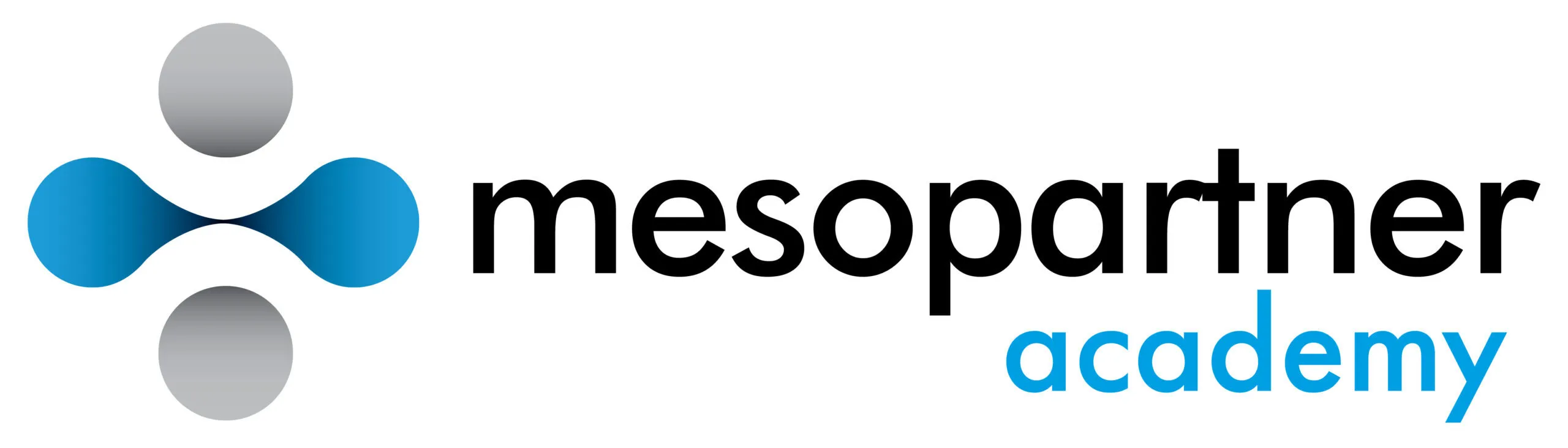 Mesopartner Logo