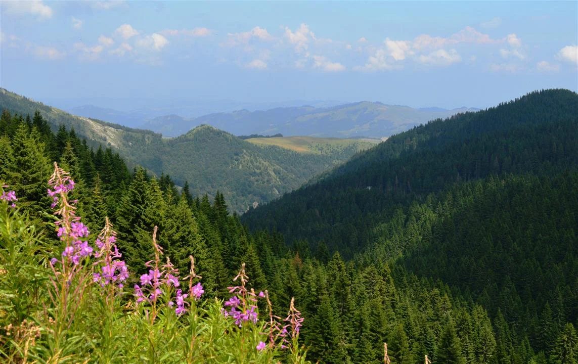 Kopaonik Climate and Time Zone